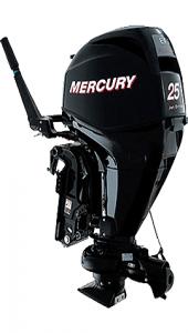 Mercury (Меркури) ME JET F 25 ELPT EFI